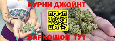 скорость Кингисепп